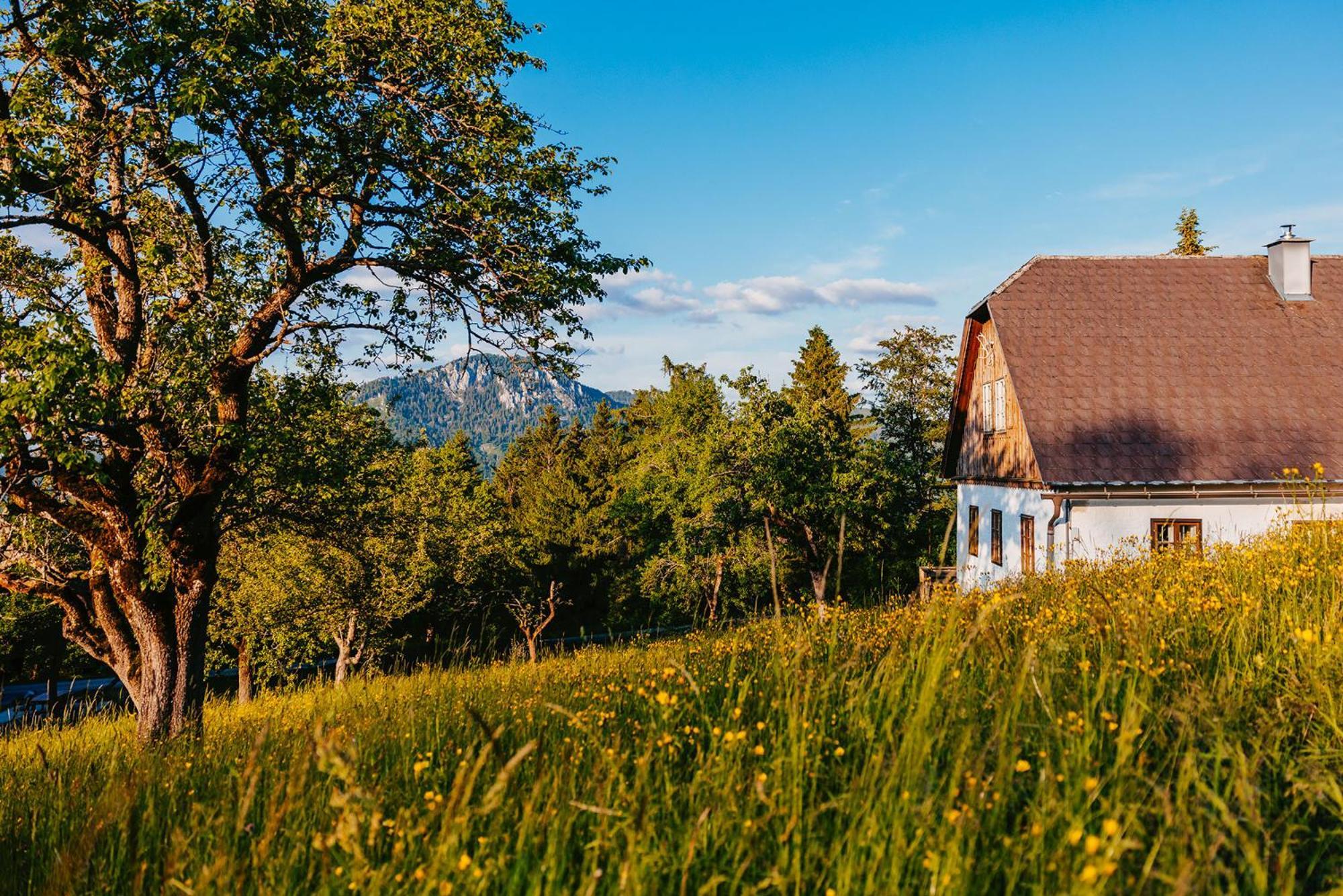 Nestelberg 17 Lackenhof Exteriör bild